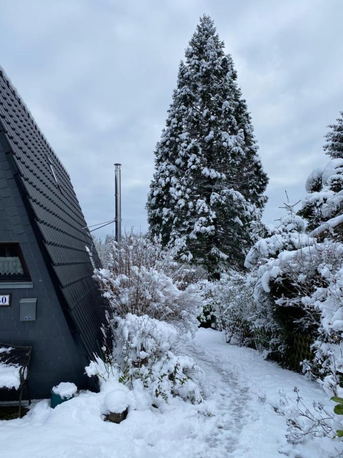 Ferienhaus Im Feriendorf Freilingen Freilingen  Exterior foto